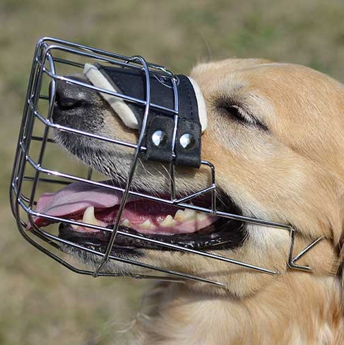 Museruola a cestello in acciaio cromato per Labrador Retriever - Clicca l'immagine per chiudere