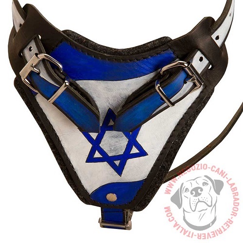 Pettorina con bandiera di Israele per Labrador Retriever - Clicca l'immagine per chiudere