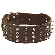 Collare largo "Crazy Combo" per Labrador Retriever Collare largo "Crazy Combo" per Labrador Retriever