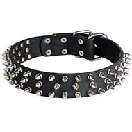 Collare in cuoio con punte "Spiked Holiday Collar" per Labrador Collare in cuoio con punte "Spiked Holiday Collar" per Labrador