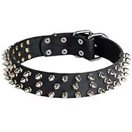 Collare in cuoio con punte "Spiked Holiday Collar" per Labrador