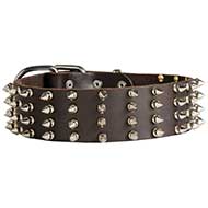 Collare in pelle "Top Paw Style" per Labrador Retriever Collare in pelle "Top Paw Style" per Labrador Retriever