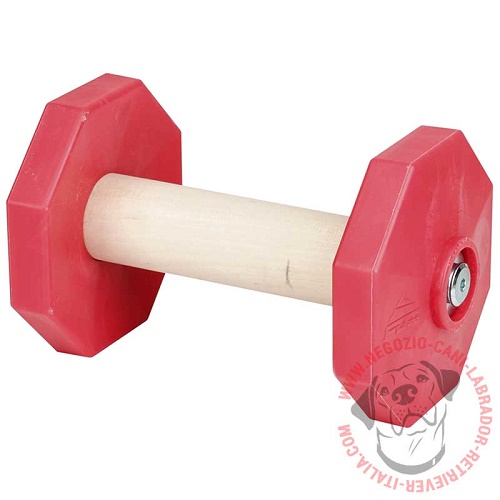 Manubrio con dischi rossi Educational toy per Labrador, 650 gr