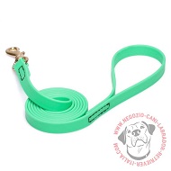 Guinzaglio in Biothane verde per Labrador Retriever