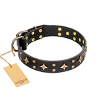 FDT Artisan - Collare nero "A La Mode" per Labrador Retriever FDT Artisan - Collare nero "A La Mode" per Labrador Retriever
