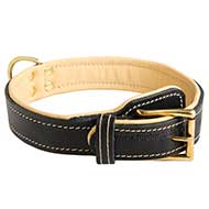 Confortevole collare con soffice fodera per Labrador Retriever Confortevole collare con soffice fodera per Labrador Retriever
