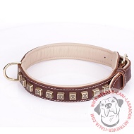 Collare marrone con cubi dorati e soffice fodera per Labrador Collare marrone con cubi dorati e soffice fodera per Labrador