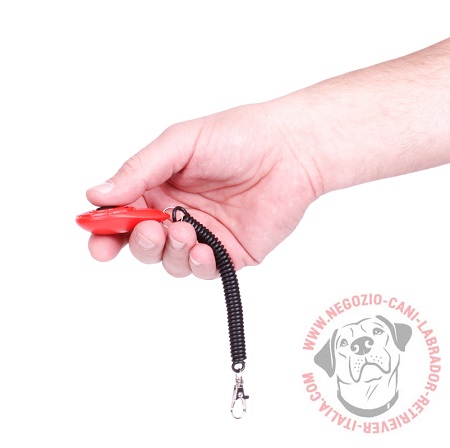 Clicker per addestramento del Labrador Retriever