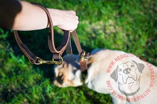 Resistente guinzaglio per labrador retriever