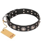 FDT Artisan - Collare nero "Vintage Necklace" per Labrador