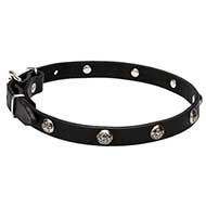 Collare "Lucky" largo 2 cm per Labrador Retriever Collare "Lucky" largo 2 cm per Labrador Retriever