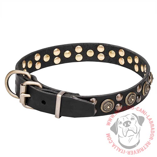 Collare con decorazioni per Labrador Retriever