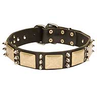 Collare in cuoio con decorazioni "Noble Sir" per Labrador Collare in cuoio con decorazioni "Noble Sir" per Labrador