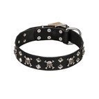 FDT Artisan - Collare "Fancy Rock'n'Roll" per Labrador Retriever FDT Artisan - Collare "Fancy Rock'n'Roll" per Labrador Retriever