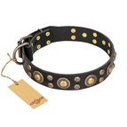 FDT Artisan - Collare in cuoio nero "Baroque Chic" per Labrador FDT Artisan - Collare in cuoio nero "Baroque Chic" per Labrador