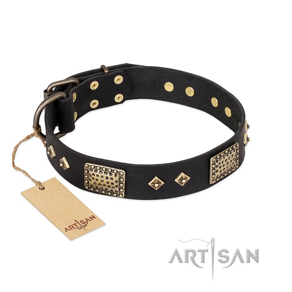 Collare decorato per cane
