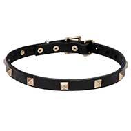 Collare "Modern Style" largo 2 cm per Labrador Retriever Collare "Modern Style" largo 2 cm per Labrador Retriever