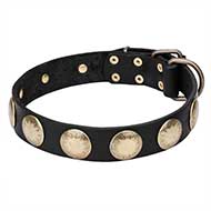 Elegante collare "Hip and Edgy" per Labrador Retriever