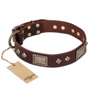 FDT Artisan - Collare marrone "Loving Owner" per Labrador FDT Artisan - Collare marrone "Loving Owner" per Labrador