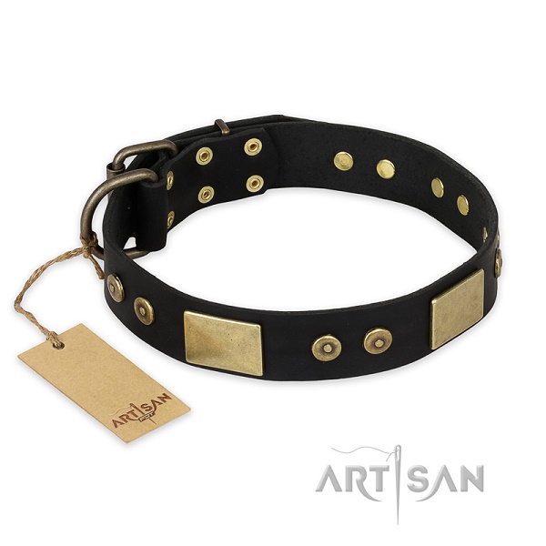 Collare per passeggiate con cane FDT Artisan