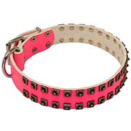 Collare in pelle rosa "Cosmo Lady" per Labrador Retriever