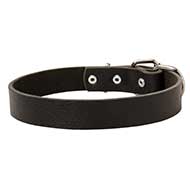 Collare in pelle "Bossy", largo 30 mm, per Labrador Retriever