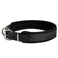 Confortevole collare foderato largo 25 mm per Labrador Retriever Confortevole collare foderato largo 25 mm per Labrador Retriever