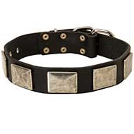 Collare in cuoio "Mighty Hound" per Labrador Retriever Collare in cuoio "Mighty Hound" per Labrador Retriever