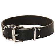 Collare dal classico design, largo 40 mm per Labrador Retriever Collare dal classico design, largo 40 mm per Labrador Retriever