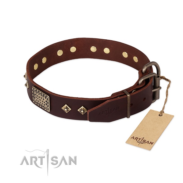 Collare per passeggiate con cane FDT Artisan