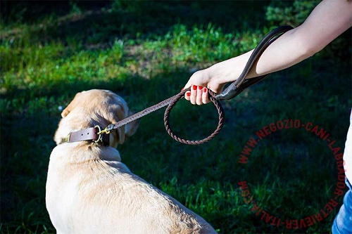 Comodo guinzaglio per Labrador Retriever