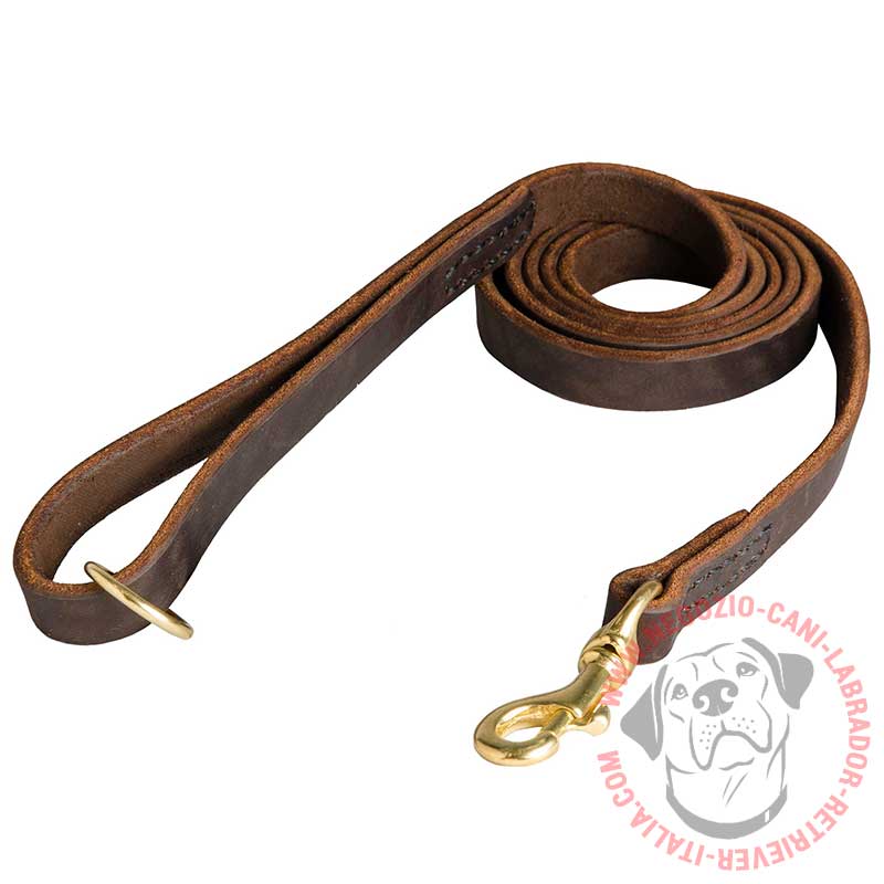 lionto Guinzaglio Retriever Guinzaglio per Cani Guinzaglio Formazione Cani,  Lunghezza 170 cm Rosso : : Prodotti per animali domestici