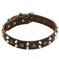 Collare di grande stile largo 3 cm per Labrador Retriever Collare di grande stile largo 3 cm per Labrador Retriever
