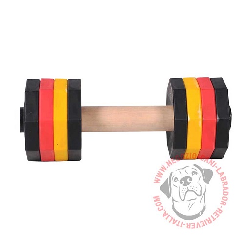 Riportello con dischi multicolore Easy Lifting, 2 kg