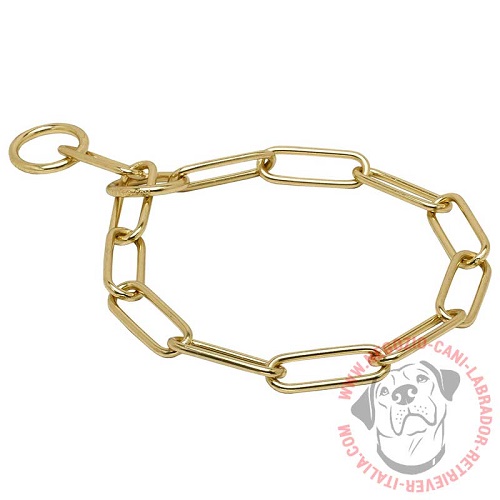 Collare in ottone Chain Trainer per Labrador Retriever, 4 mm