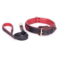 Set di collare con guinzaglio rosso-nero per Labrador Set di collare con guinzaglio rosso-nero per Labrador