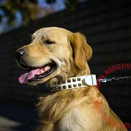 Collare in pelle bianca "Clear Sky" per Labrador Retriever Collare in pelle bianca "Clear Sky" per Labrador Retriever
